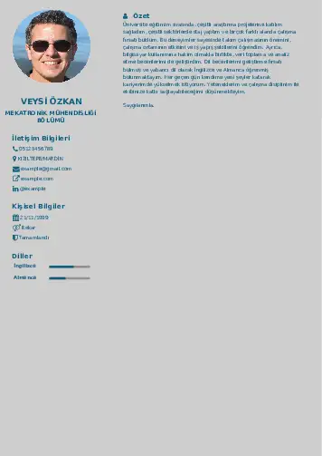 Mekatronik Mühendisliği Cv Örnekleri cv indir